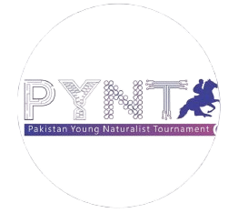 screenshot 2025 11 15 at 01.31.47 removebg preview